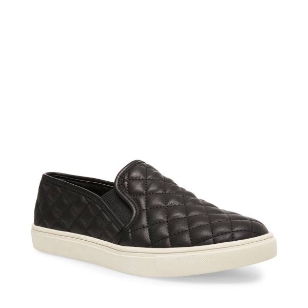 Tenis Steve Madden Ecentrcq Feminino Pretas | SM-852KJ