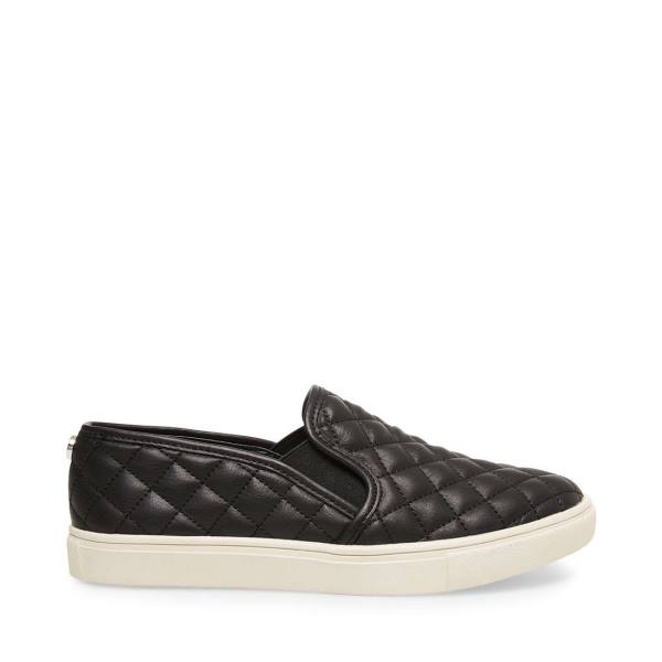 Tenis Steve Madden Ecentrcq Feminino Pretas | SM-852KJ