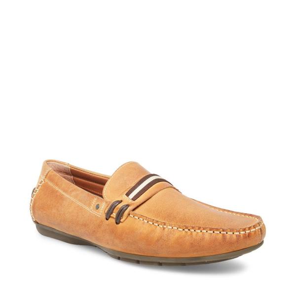 Tenis Steve Madden Grab Tan Couro Masculino Marrom | SM-710YR