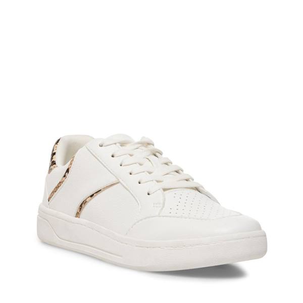 Tenis Steve Madden Harmonize Tan Snake Feminino Marrom Serpentine | SM-294JN