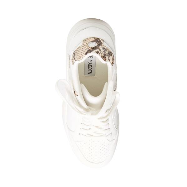 Tenis Steve Madden Harmonize Tan Snake Feminino Marrom Serpentine | SM-294JN