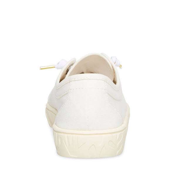 Tenis Steve Madden Maevee Natural Feminino Bege | SM-925HF