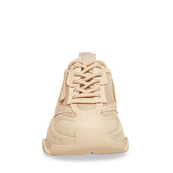 Tenis Steve Madden Possession Tan Feminino Marrom | SM-139PN