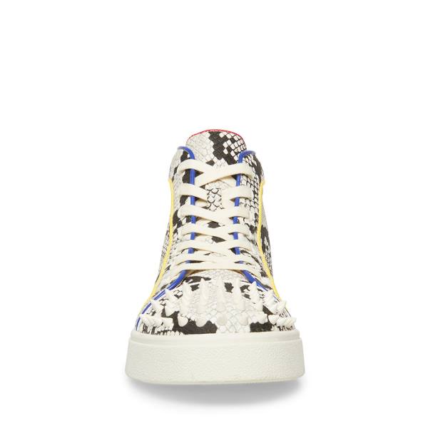 Tenis Steve Madden Promoter-s Snake Masculino Multicoloridas Serpentine | SM-972AN