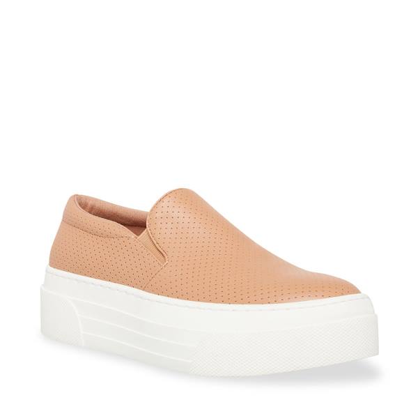 Tenis Steve Madden Shuffle Blush Feminino Rosa | SM-298ML