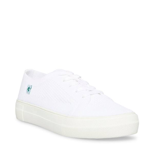 Tenis Steve Madden Valeryy Feminino Branco | SM-694XW