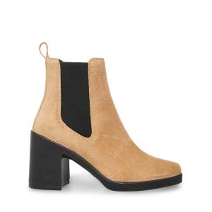 Botins Steve Madden Match Taupe Camurça Feminino Cinzentas Marrom | SM-283NK