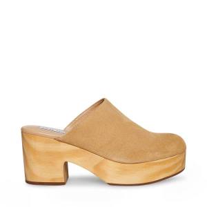 Salto Alto Steve Madden Bayridge Taupe Camurça Heel Feminino Cinzentas Marrom | SM-367LG