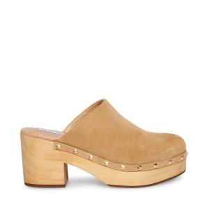 Salto Alto Steve Madden Bushwick Taupe Camurça Heel Feminino Cinzentas Marrom | SM-867JG