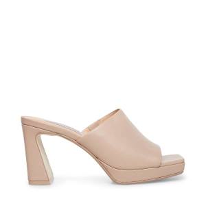 Salto Alto Steve Madden Dedicate Taupe Couro Heel Feminino Cinzentas Marrom | SM-176OM