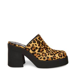 Salto Alto Steve Madden Kam Leopard Heel Feminino Leopardo | SM-986PA