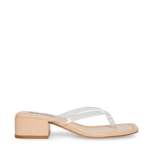 Sandalias Steve Madden Claudette Feminino Clear | SM-189BN