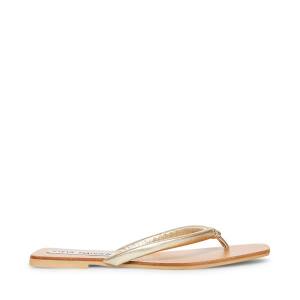 Sandalias Steve Madden Lighthouse Feminino Douradas | SM-509VR