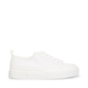 Tenis Steve Madden Caleb Feminino Branco | SM-386CX