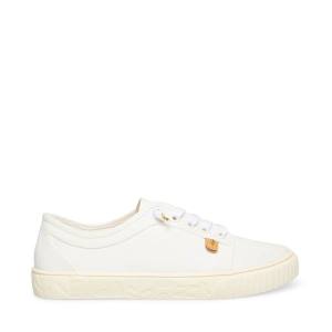 Tenis Steve Madden Maevee Natural Feminino Bege | SM-925HF