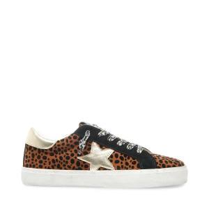 Tenis Steve Madden Philosophy Leopard Feminino Leopardo Multicoloridas | SM-240RN