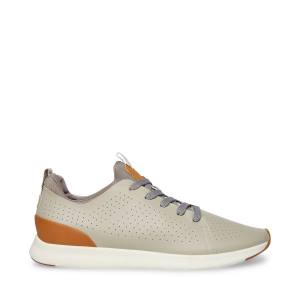 Tenis Steve Madden Revolve Masculino Cinzentas | SM-830RJ