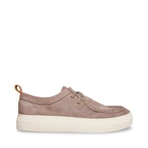 Tenis Steve Madden Ryeker Camurça Masculino Cinzentas | SM-475ZT