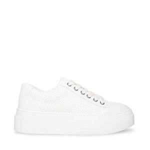 Tenis Steve Madden Studio Feminino Branco | SM-426RW