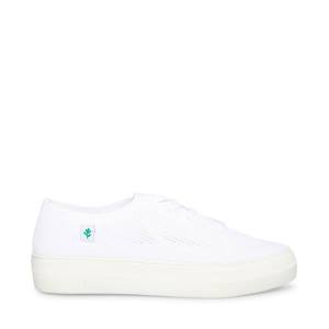 Tenis Steve Madden Valeryy Feminino Branco | SM-694XW